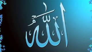 Anashid NaRif HD